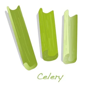 Green fresh celery isolated on white. Stock Illustration