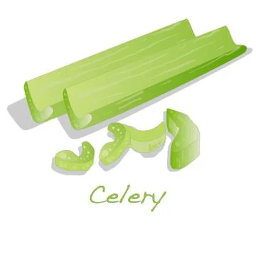 Green fresh celery isolated on white. Stock Illustration
