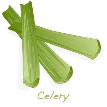 Green fresh celery isolated on white. Stock Illustration