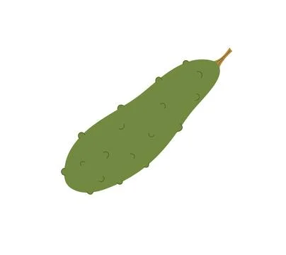 Green fresh cucumber vegetable simple hand drawn vector illustration, organic Stock Illustration