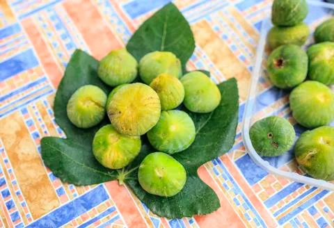 Green fresh figs on a table Stock Photos