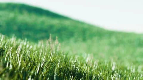 Green fresh grass as a nice background Stock Illustration