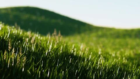 Green fresh grass as a nice background Stock Illustration