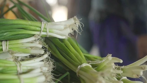 Green Fresh Leeks Vegetables Video stock 106556290