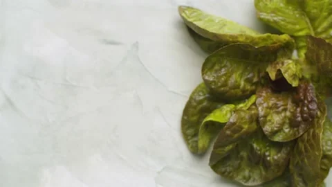 Green fresh lettuce Stock Footage 140349712