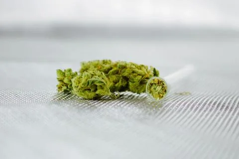 Green fresh marijuana Foto stock