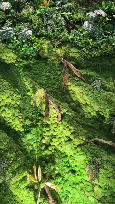 Green Fresh Moss Wall and Vertical Garden with dried Trunks Vídeo Stock 342686542