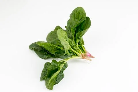 Green fresh organic spinach on the white background Stock Photos