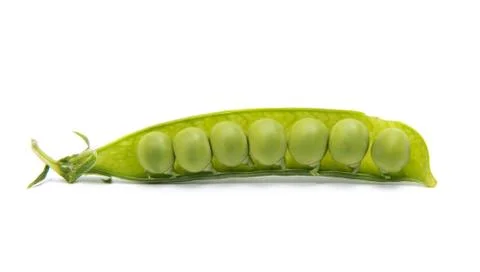 Green fresh peas Stock Photos