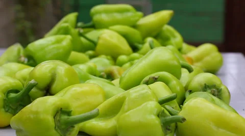 Green fresh pepper Vídeos de archivo 31394945