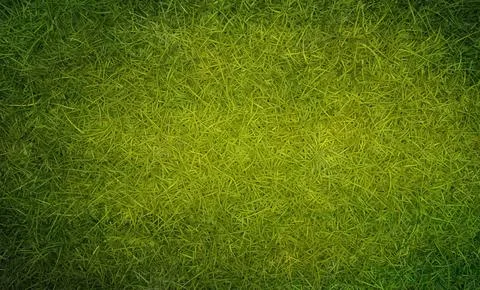 Green fresh spring grass. Ecology concept. Natural background texture. 3D render 스톡 일러스트