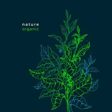 Green fresh template. Beautiful vector floral background with copy space for  Stock Illustration