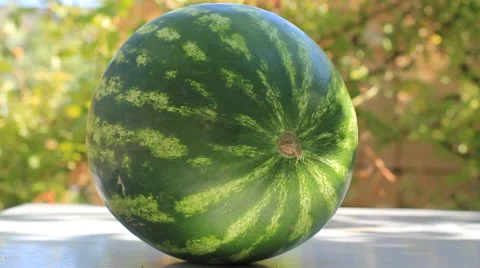 Green fresh watermelon Stock Footage 52603345