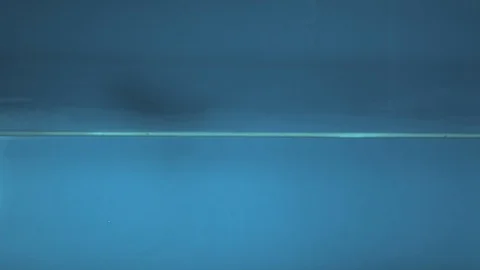 Green frog falls in water. Falling. Ultra slow motion hispeed 2000fps Stock Footage 93121505