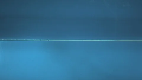 Green frog falls in water. Falling. Ultra slow motion hispeed 2000fps Stock Footage 93122103