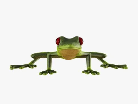 Green frog front view on white background 3d rendering Illustrazione stock