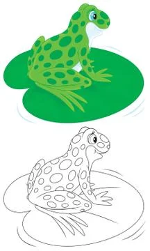 Green Frog Stock Illustration