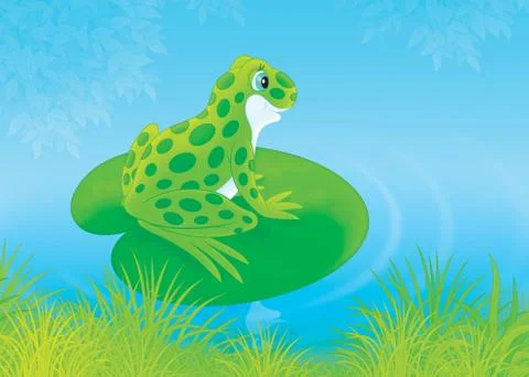 Green Frog Stock Illustration