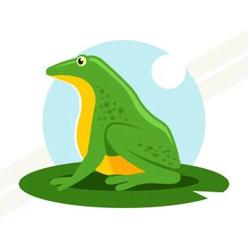 Green-frog Stock Illustration