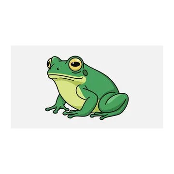 Green frog illustration Stock Illustration