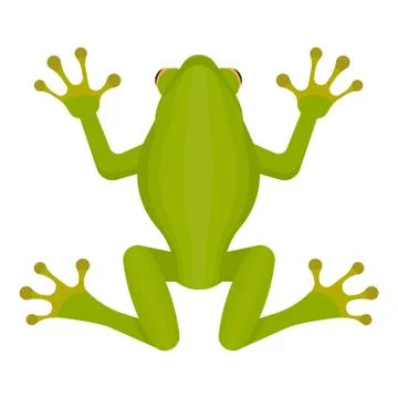 Green frog isolated on white background. Vector illustration. Stock Illustration