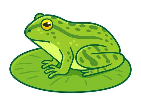 Green frog on lilypad drawing Stock Illustration