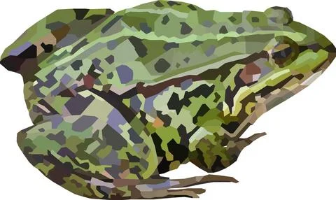 A green frog sits cute on a white background Stock Illustration