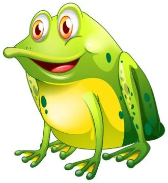 Green frog sitting on white background Illustrazione stock