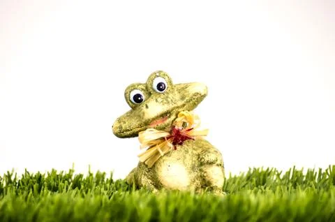 Green frog on a white Stock Photos