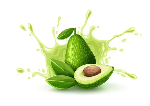 Green fruit avocado juicy splash. Ripe vegetable vector. Illustration. Stock Illustration
