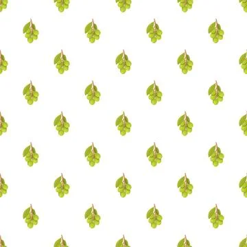 Green fruit sprig pattern on white background Stock Illustration