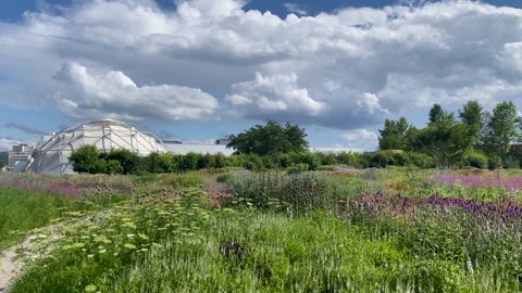 Green gardem Stockbeeldmateriaal 253308225