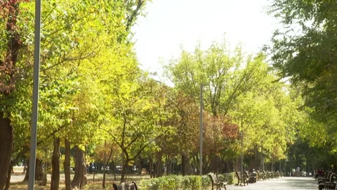 Green garden 1 Stock Footage 325601952