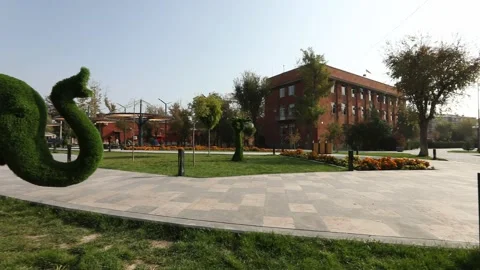 Green garden 3 Stock Footage 323791849