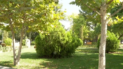 Green garden 6 Stock Footage 325602009