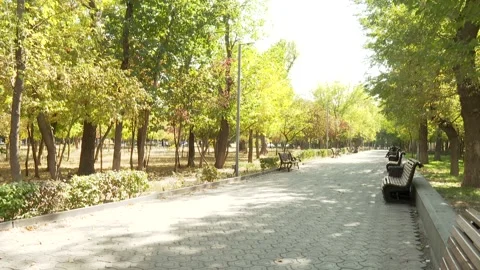 Green garden 7 Stock Footage 325602025