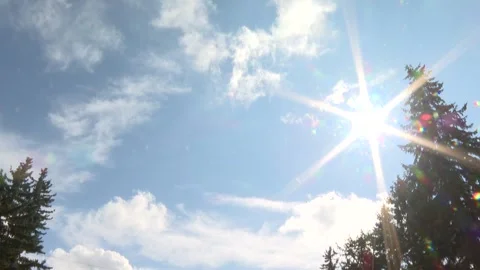 Green garden 8 Stock Footage 325602017