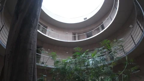 Green garden and tree inside the circle building Stock Footage 260947985