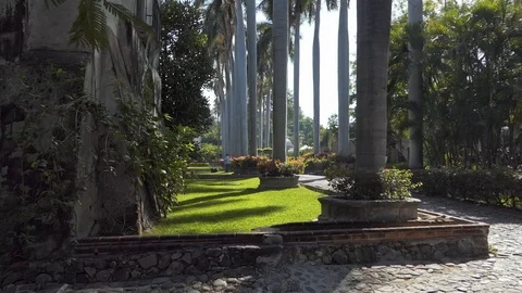 Green Garden Stock Footage 86363059