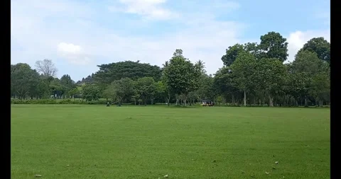 Green garden Stock Footage 285595220