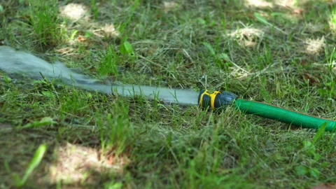 Green Garden Hose Spraying Refreshing Water Over Lush Summer Lawn Grass Stock Footage 339647388