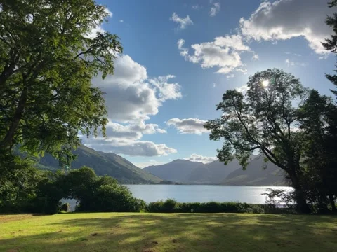 Green garden with lake view Stock Footage 248761536
