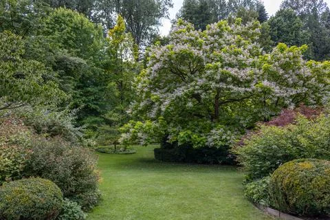 Green garden with multpiple type of trees and plants Stock Photos