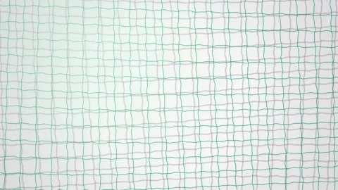 Green garden netting sways gently in a seamless loop Stock Footage 342519280