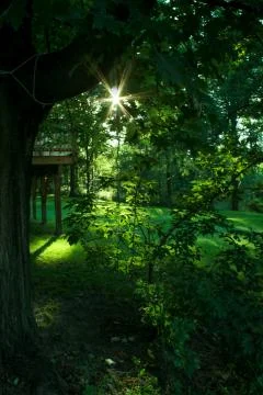 Green Garden Foto stock