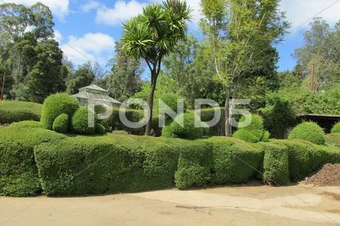 Green Garden Stock Photos