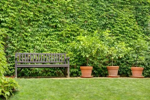 Green garden Stock Photos