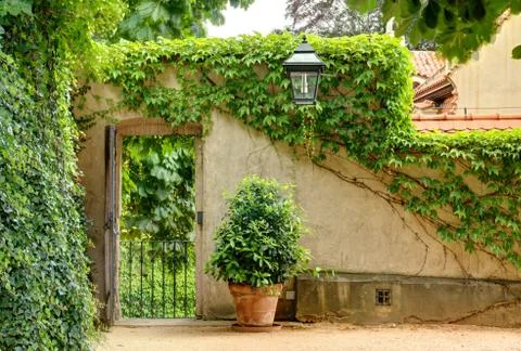 Green garden Stock Photos