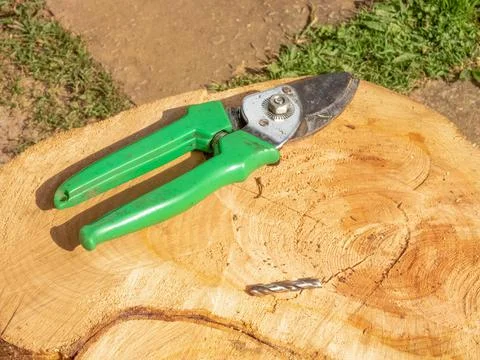 Green garden pruning shear Stock Photos