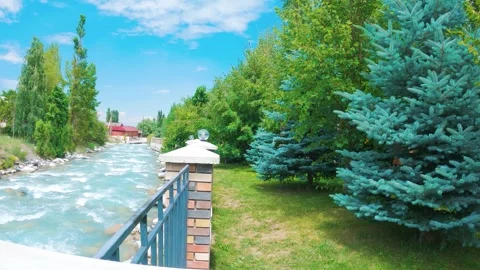 Green garden by the river Video stock 246427850